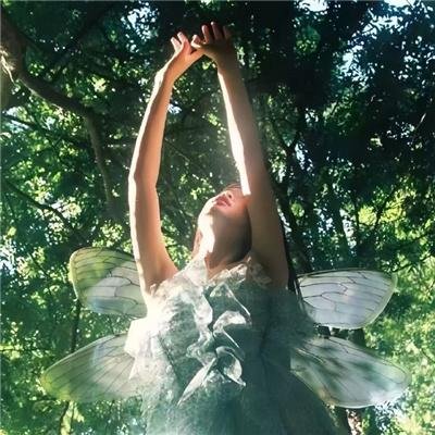 诺瓦利斯的蓝玫瑰